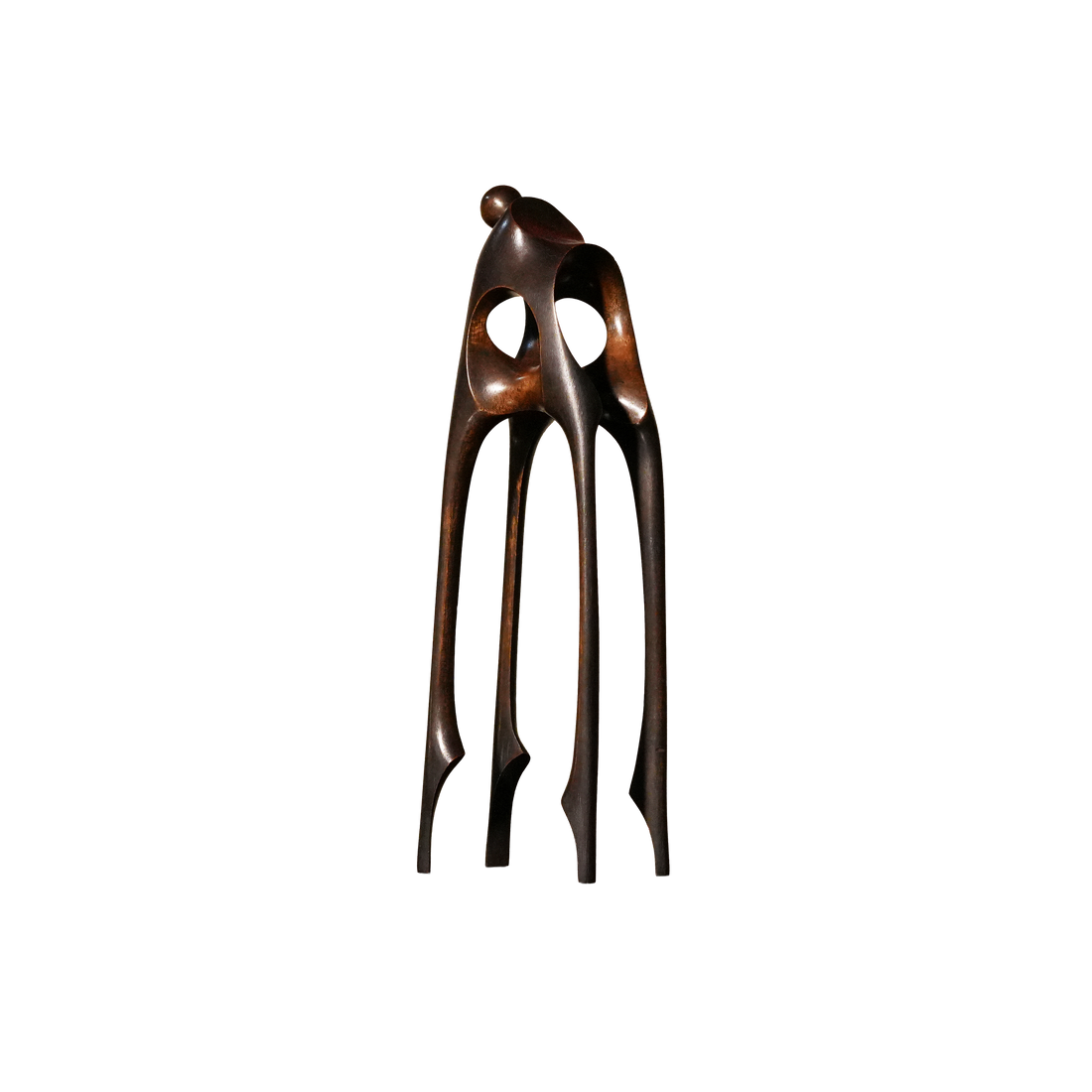 Cavern Pet