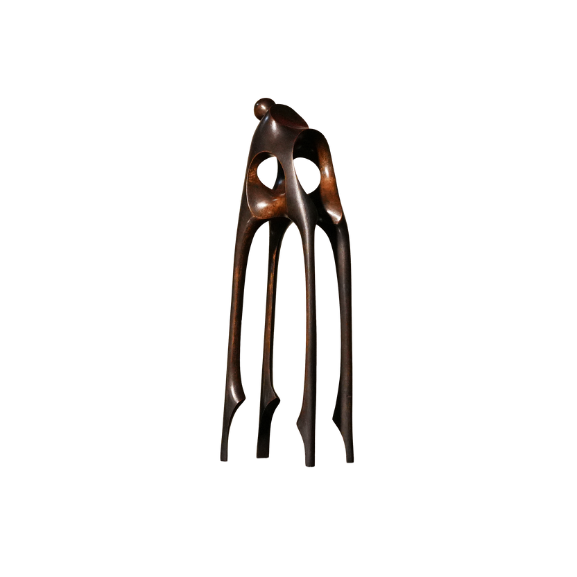 Cavern Pet
