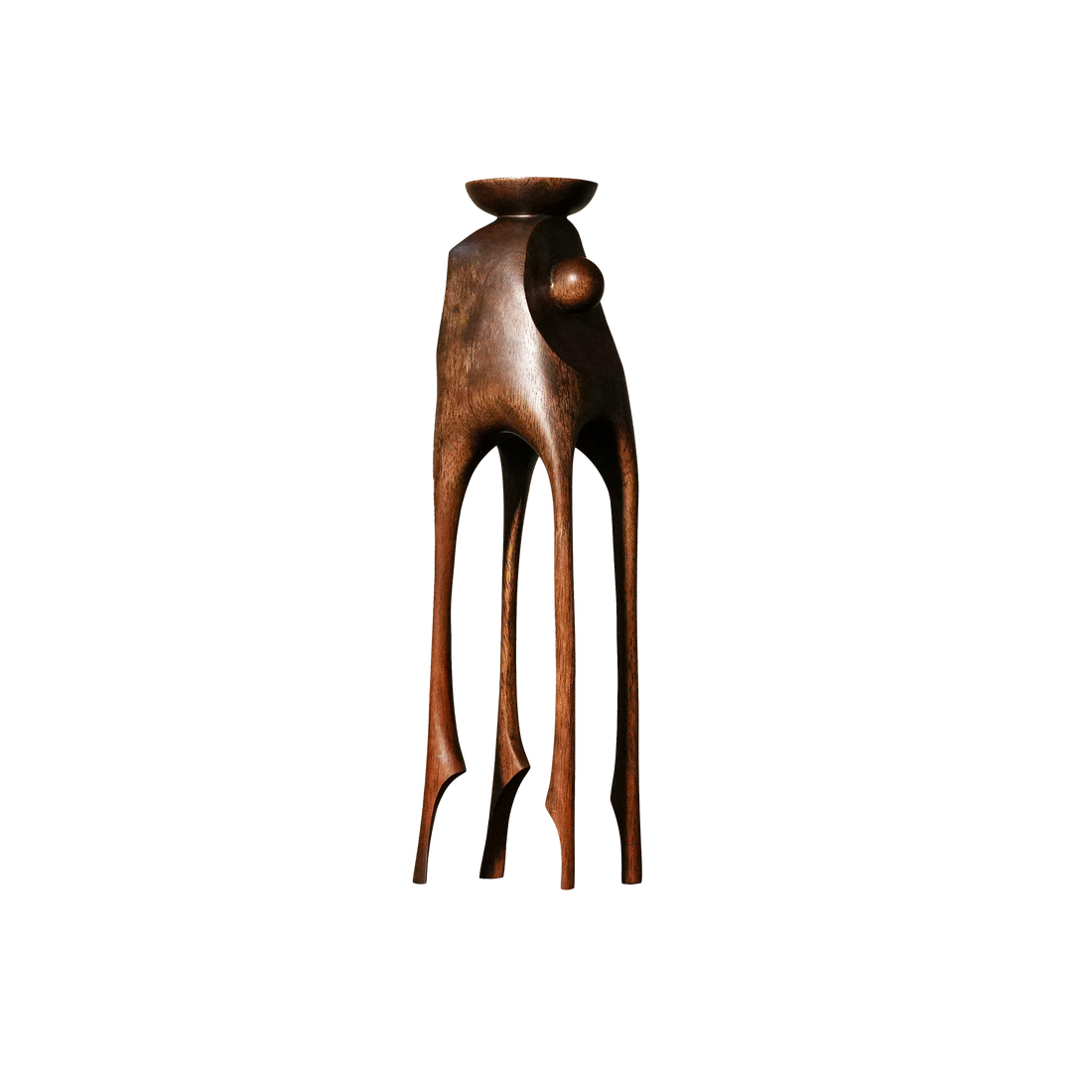 Stilted Pet